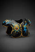 NFL Matching Shoulder Pads